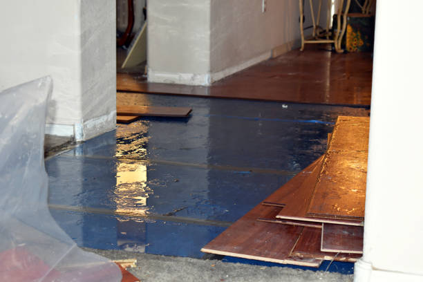 Professional Flood Cleanup technician working in New London, IA